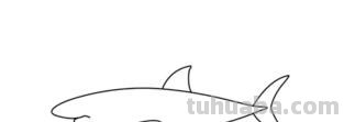 鲨鱼怎么画简笔画（鲨鱼怎么画简笔画图片）