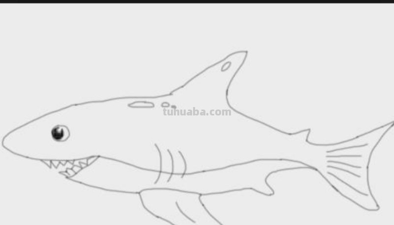鲨鱼怎么画简笔画（鲨鱼怎么画简笔画图片）