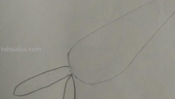 萝卜怎么画简笔画（小兔子拔萝卜怎么画简笔画）