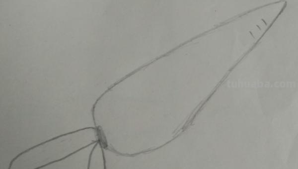 萝卜怎么画简笔画（小兔子拔萝卜怎么画简笔画）