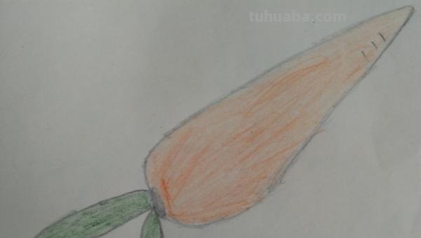 萝卜怎么画简笔画（小兔子拔萝卜怎么画简笔画）