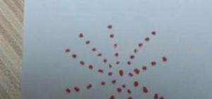 烟花怎么画简笔画(烟花怎么画简笔画又漂亮) 烟花怎么画简笔画(烟花怎么画简笔画又漂亮)