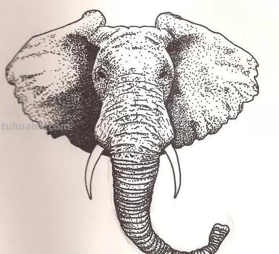 分享一套精美动物素描，值得收藏学习