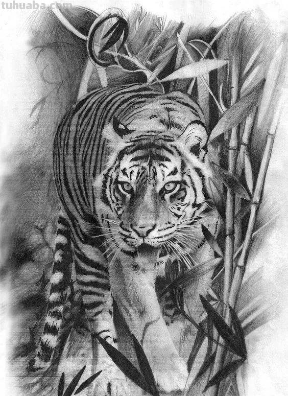 分享一套精美动物素描，值得收藏学习