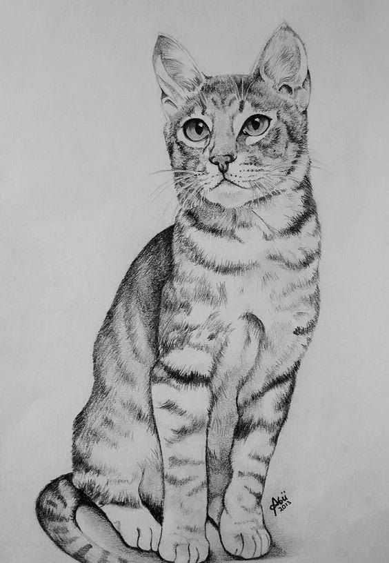 分享一套精美动物素描，值得收藏学习