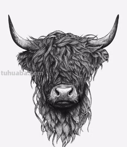 分享一套精美动物素描，值得收藏学习