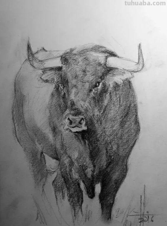 分享一套精美动物素描，值得收藏学习