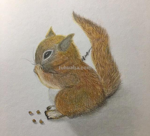 彩铅画用什么铅笔（彩铅画用什么铅笔勾轮廓）