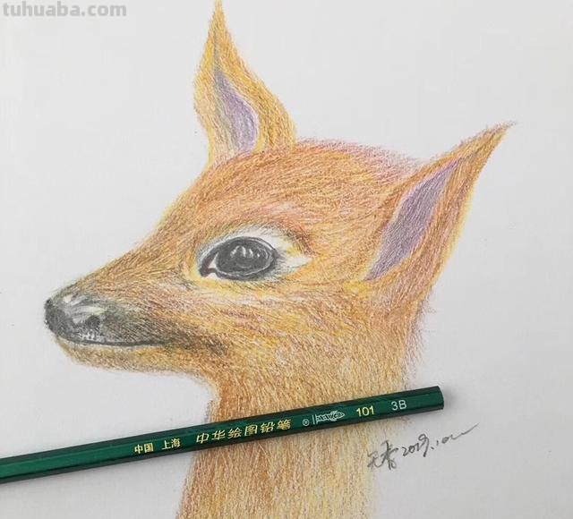 彩铅画用什么铅笔（彩铅画用什么铅笔勾轮廓）