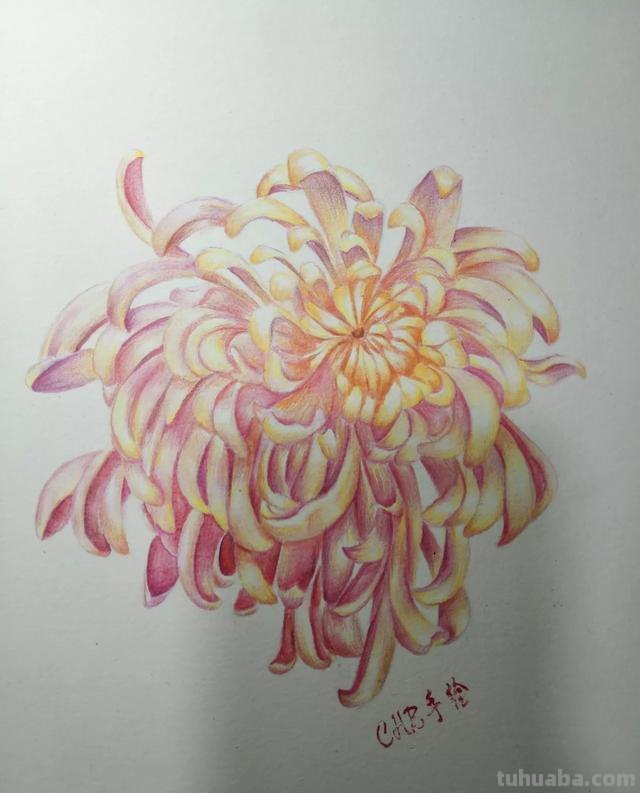 彩铅画用什么铅笔（彩铅画用什么铅笔勾轮廓）