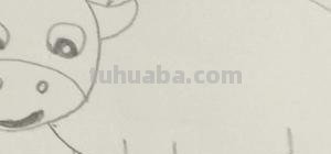 简笔画的牛怎么画（简笔画的牛怎么画?）