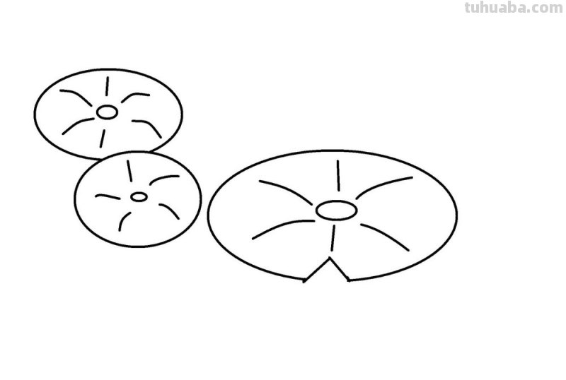 荷叶风景速写（荷叶风景速写图片）