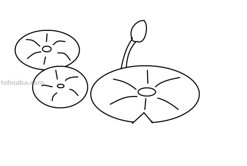 荷叶风景速写（荷叶风景速写图片）