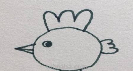 小鸡简笔画怎么画（老鹰抓小鸡简笔画怎么画）