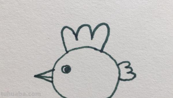 小鸡简笔画怎么画（老鹰抓小鸡简笔画怎么画）