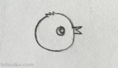 小鸡简笔画怎么画（老鹰抓小鸡简笔画怎么画）