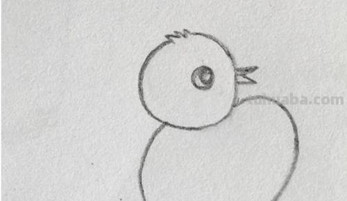 小鸡简笔画怎么画（老鹰抓小鸡简笔画怎么画）