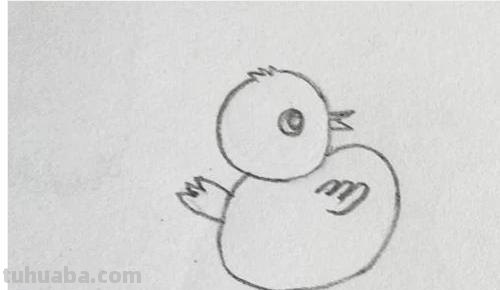 小鸡简笔画怎么画（老鹰抓小鸡简笔画怎么画）