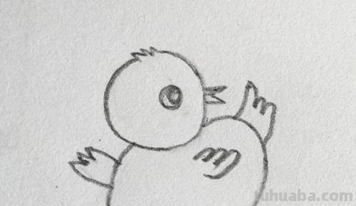 小鸡简笔画怎么画（老鹰抓小鸡简笔画怎么画）