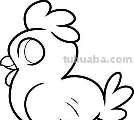 小鸡简笔画怎么画（老鹰抓小鸡简笔画怎么画）