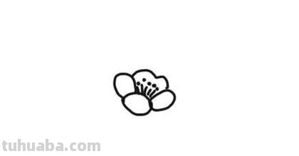 梅花怎么画简笔画（梅花怎么画简笔画又漂亮）