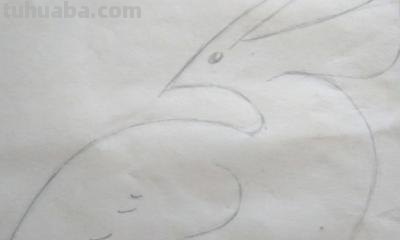 怎么画彩铅天堂鸟(怎么画彩铅天堂鸟图片) 怎么画彩铅天堂鸟(怎么画彩铅天堂鸟图片)