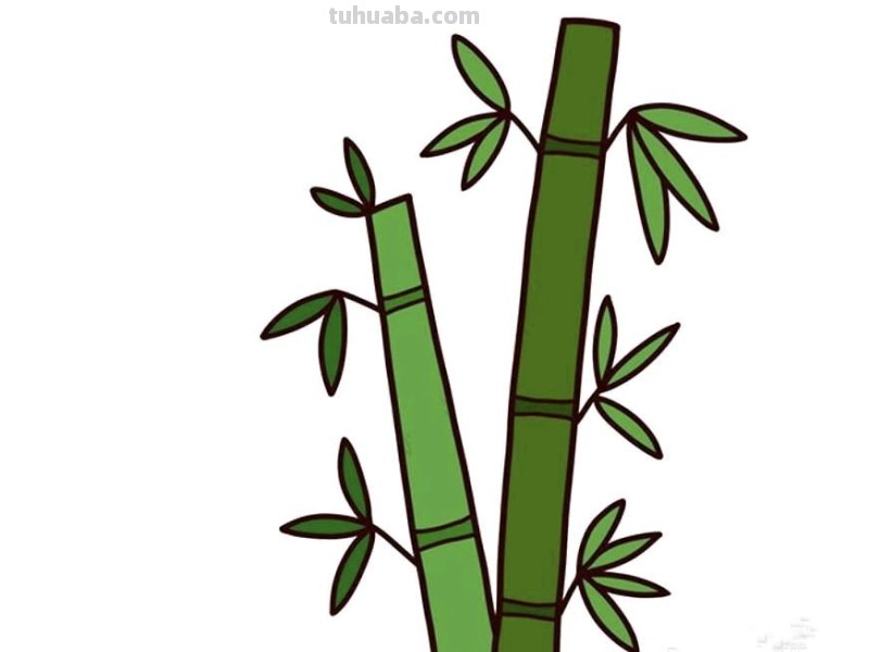 竹子怎么画简笔画(竹子怎么画简笔画 古风) 竹子怎么画简笔画(竹子怎么画简笔画 古风)