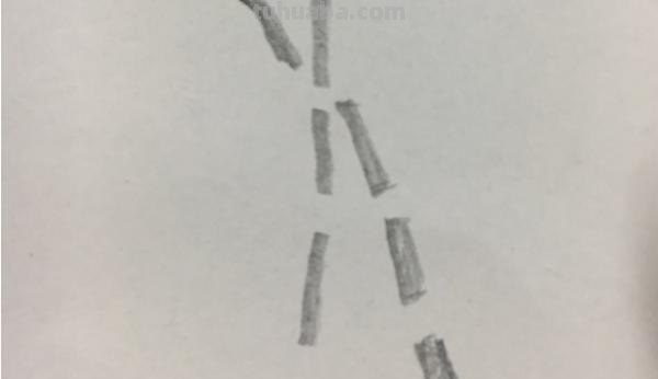 竹子怎么画简笔画(竹子怎么画简笔画 古风) 竹子怎么画简笔画(竹子怎么画简笔画 古风)