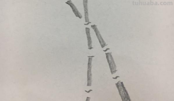 竹子怎么画简笔画(竹子怎么画简笔画 古风) 竹子怎么画简笔画(竹子怎么画简笔画 古风)