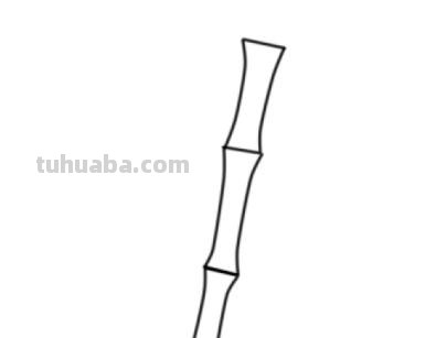 竹子怎么画简笔画(竹子怎么画简笔画 古风) 竹子怎么画简笔画(竹子怎么画简笔画 古风)