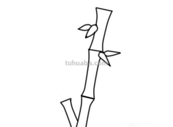 竹子怎么画简笔画(竹子怎么画简笔画 古风) 竹子怎么画简笔画(竹子怎么画简笔画 古风)