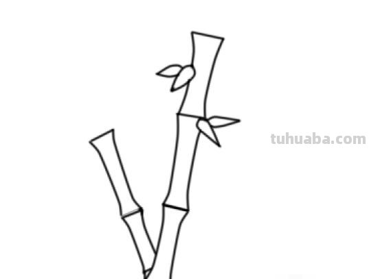 竹子怎么画简笔画(竹子怎么画简笔画 古风) 竹子怎么画简笔画(竹子怎么画简笔画 古风)