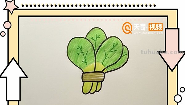 彩铅画白菜怎么画（彩铅画白菜怎么画好看）