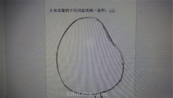 彩铅玫瑰怎么画(彩铅玫瑰怎么画一步一步教) 彩铅玫瑰怎么画(彩铅玫瑰怎么画一步一步教)