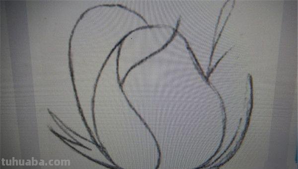 彩铅玫瑰怎么画(彩铅玫瑰怎么画一步一步教) 彩铅玫瑰怎么画(彩铅玫瑰怎么画一步一步教)