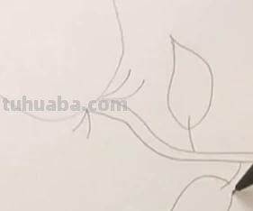 彩铅玫瑰怎么画(彩铅玫瑰怎么画一步一步教) 彩铅玫瑰怎么画(彩铅玫瑰怎么画一步一步教)