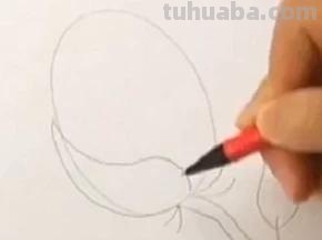 彩铅玫瑰怎么画(彩铅玫瑰怎么画一步一步教) 彩铅玫瑰怎么画(彩铅玫瑰怎么画一步一步教)