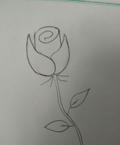 彩铅玫瑰怎么画(彩铅玫瑰怎么画一步一步教) 彩铅玫瑰怎么画(彩铅玫瑰怎么画一步一步教)
