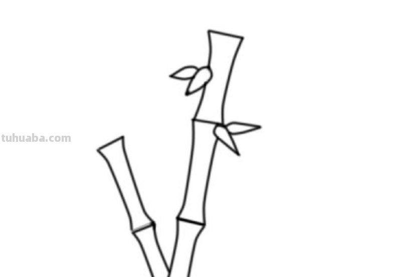怎么画竹子简笔画(怎么画竹子简笔画可爱) 怎么画竹子简笔画(怎么画竹子简笔画可爱)