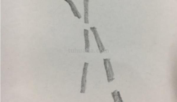 怎么画竹子简笔画(怎么画竹子简笔画可爱) 怎么画竹子简笔画(怎么画竹子简笔画可爱)