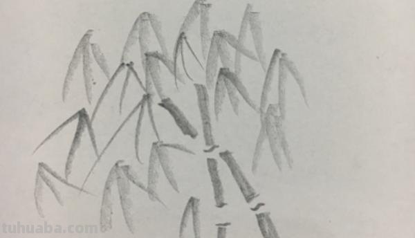 怎么画竹子简笔画(怎么画竹子简笔画可爱) 怎么画竹子简笔画(怎么画竹子简笔画可爱)