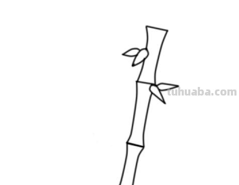 怎么画竹子简笔画(怎么画竹子简笔画可爱) 怎么画竹子简笔画(怎么画竹子简笔画可爱)