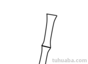 怎么画竹子简笔画(怎么画竹子简笔画可爱) 怎么画竹子简笔画(怎么画竹子简笔画可爱)