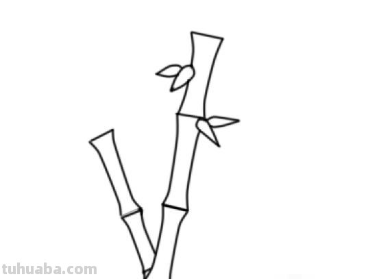 怎么画竹子简笔画(怎么画竹子简笔画可爱) 怎么画竹子简笔画(怎么画竹子简笔画可爱)