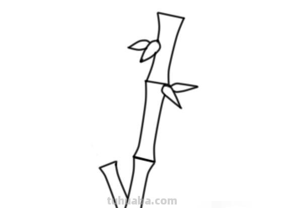 怎么画竹子简笔画(怎么画竹子简笔画可爱) 怎么画竹子简笔画(怎么画竹子简笔画可爱)