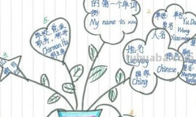 水果思维导图怎么画（英语水果思维导图怎么画）