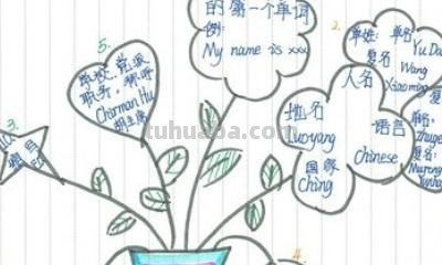 水果思维导图怎么画（英语水果思维导图怎么画）
