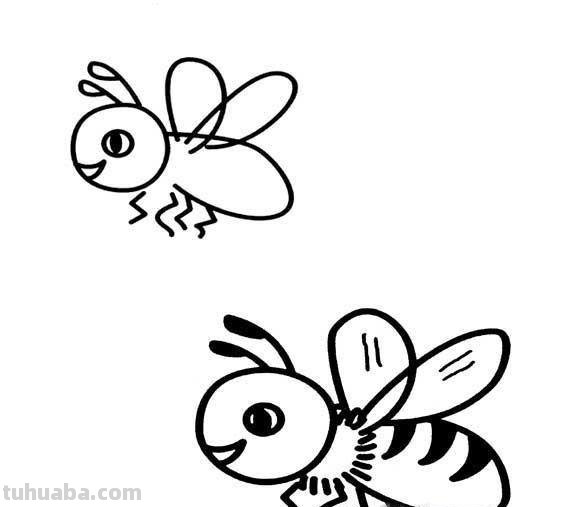 蜜蜂怎么画简笔画(蜜蜂怎么画简笔画图片) 蜜蜂怎么画简笔画(蜜蜂怎么画简笔画图片)