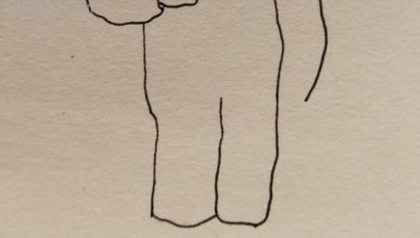 医生简笔画怎么画(医生简笔画怎么画?) 医生简笔画怎么画(医生简笔画怎么画?)