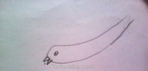 燕子简笔画怎么画(燕子简笔画怎么画的又可爱又简单) 燕子简笔画怎么画(燕子简笔画怎么画的又可爱又简单)
